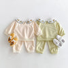 2024 Autumn Children'S Clothing Set 0-4Y Girls Embroider Doll Collar Hoodies Suit Kid'S Pullover and Pants 2Pcs