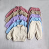 New Autumn Baby Sports Suit Toddler Fleece Solid Color Hoodies Suit Infant Outfit 2PCS